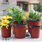 簡単な様式の植木鉢の庭のプラスチック花の植物の鍋の多数のサイズの屋外の養樹園の鍋